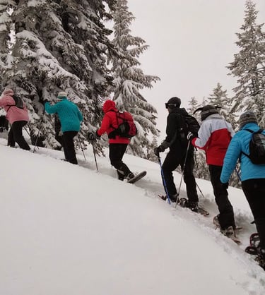 Grup fent una excursió amb raquetes de neu