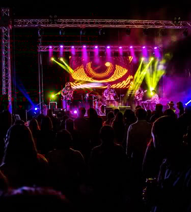 banda la doctrina en vivo fotografia desde el publico masivo en el concierto
