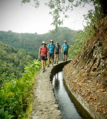 Randonnée au Canal des Esclaves en Martinique – sentier historique en pleine nature