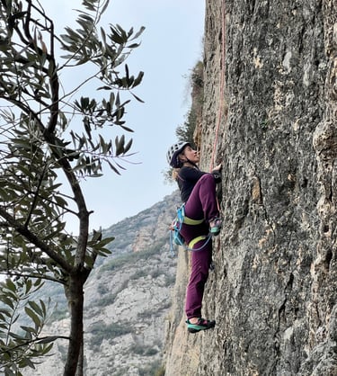 Guia escalada