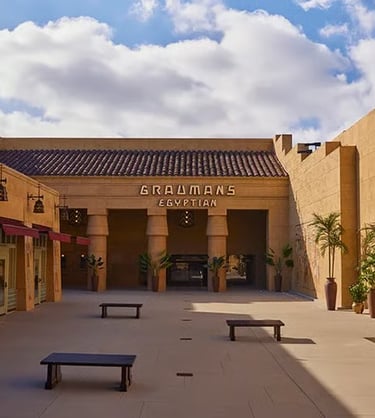 netflix-egyptian-theatre-detail-losangeles-hollywood