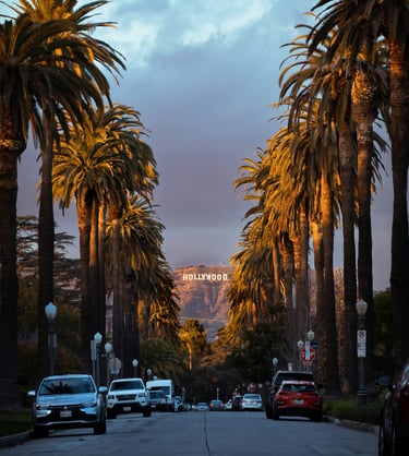 palm-trees-street-hollywood-sign-los-angeles