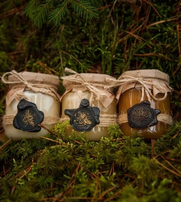 3 metų laikai. Medaus degustacija. Medaus rinkinys. Medaus dovana. Degustacinis rinkinys