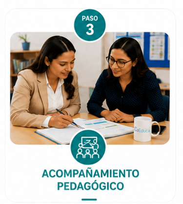 Acompañamiento Pedagógico