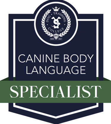 Canine Body Language Instructor