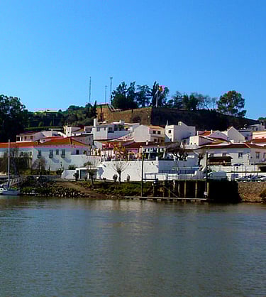 a boat is docked in a harbor with a view of a town