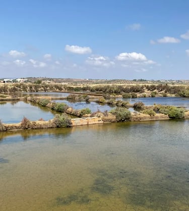 a river with a bridge and a bridge over it