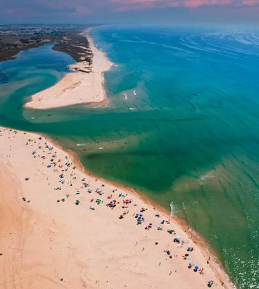 a beach with many people on the beach