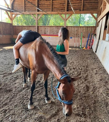 prise en charge individuelle adulte