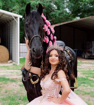 Quince horse photographer