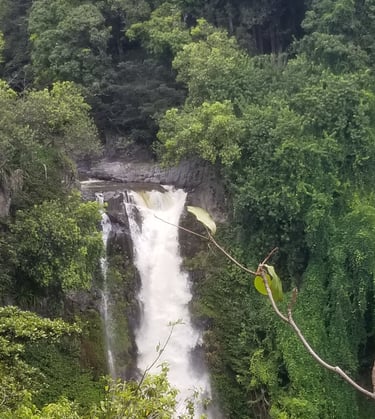 Wailua falls Maui