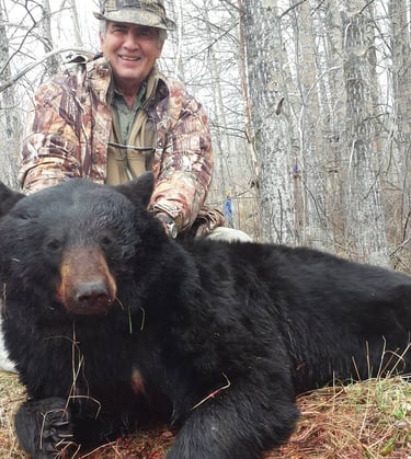 Saskatchewan black bear hunts - black bear