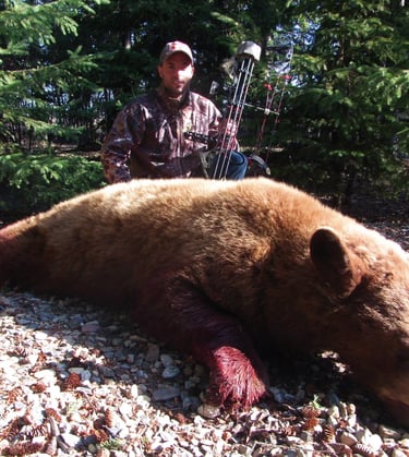 Saskatchewan black bear hunts - color phase black bear
