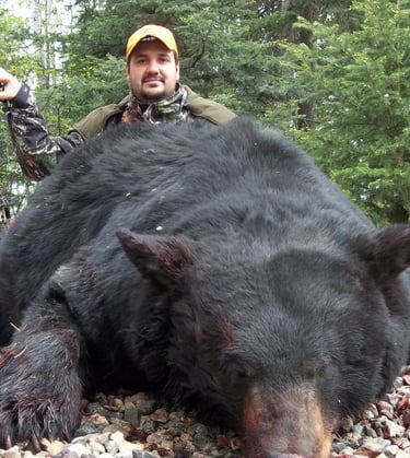 Saskatchewan black bear hunts - big saskatchewan black bear