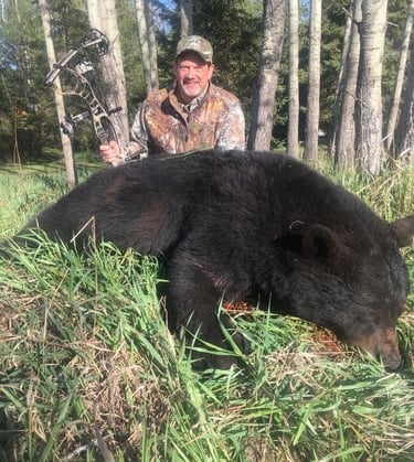 Saskatchewan black bear hunts - saskatchewan black bear