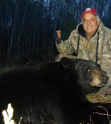 Saskatchewan black bear hunts - giant black bear
