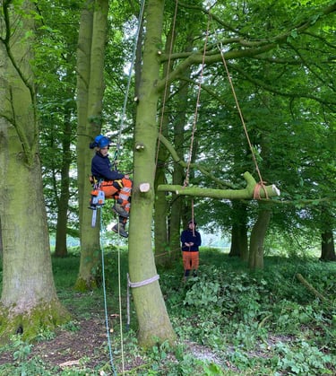 Tree rigging cradle balance