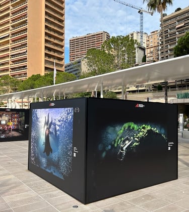 PA2F environmental photographer of the year 2023