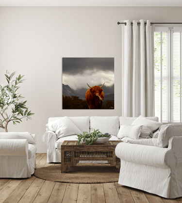 Canvas Print of a Highland Cow standing in mountainous atmospheric landscape