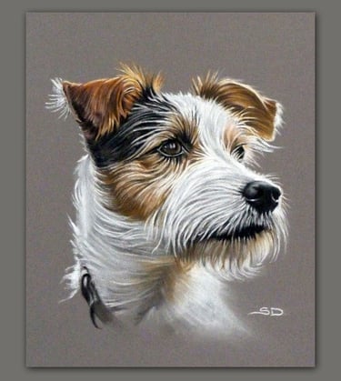 Commissioned pet portrait, hand drawn using pastel pencils