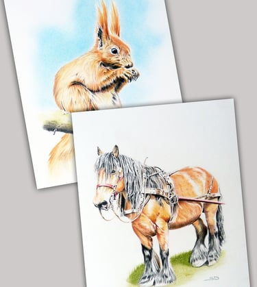 Original wildlife art by sean duffy artist