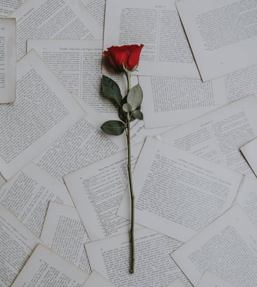 Rose on top of printed sheets of paper.