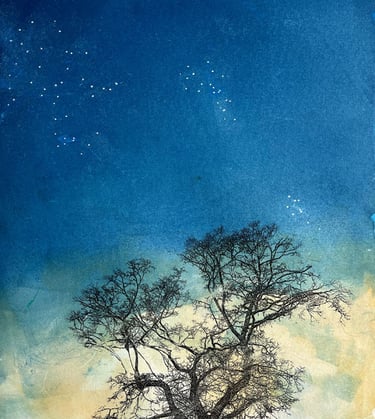 monoprint of tree on blue and yellow background