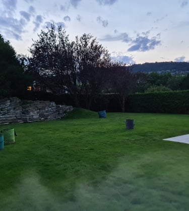 renovation maçonnerie