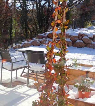 Maison de tourisme confort et lumière, terrasse sud sous la neige