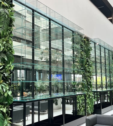 Stikliniu lentynu sistema