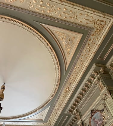 Restaureren Ornamenten plafond in Rotterdam