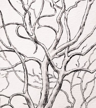 A circle encloses a view of tree branches in winter, rendered in graphite and ink on paper.