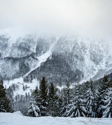 Cirque du Frankenthal en hiver - Massif des Vosges