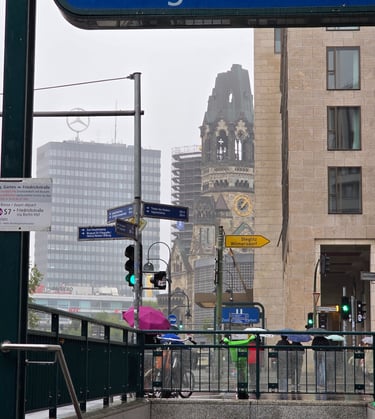 a street sign that says zoo zoo zoo zoo zoo zoo zoo zoo zoo zoo zoo