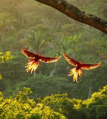 destinations_inspirantes