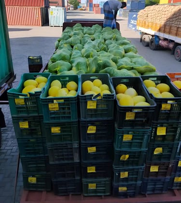 a table with a lot of fruit and a man in a hat