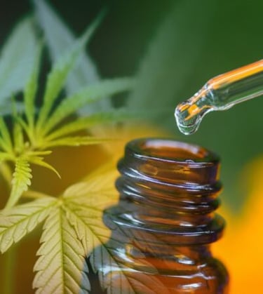 Prescrição de cannabis medicinal