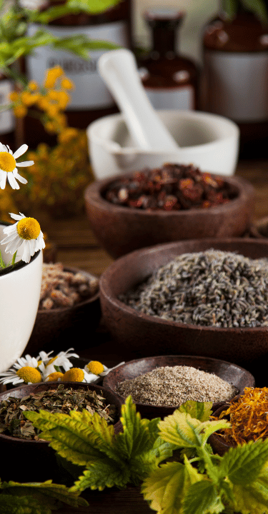 Ingredientes naturales y plantas medicinales para la elaboración artesanal de cremas botánicas.