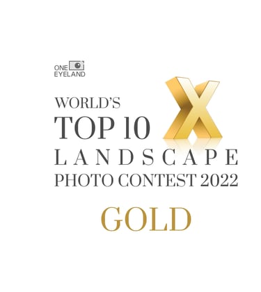 a gold award for the top 10 landscape photography contest