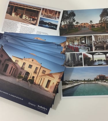 Diseño e impresión de comunicación para Ginevra Sotheby's. 