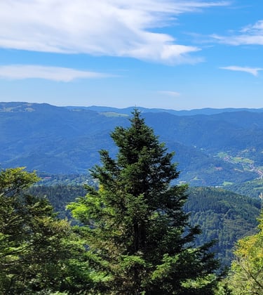 La nature, l'environnement 