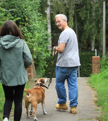 Hundetrainerin gibt Tipps an Hundehalter mit Hund im Training