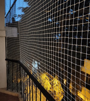 Pigeon Nets installation in bengaluru