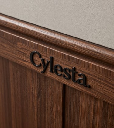 Close-up detail of premium interior finishing. Espresso Brown wood paneling meets a Soft Pewter textured wall. The focus is on the exquisite craftsmanship and high-quality materials used by Cylesta.