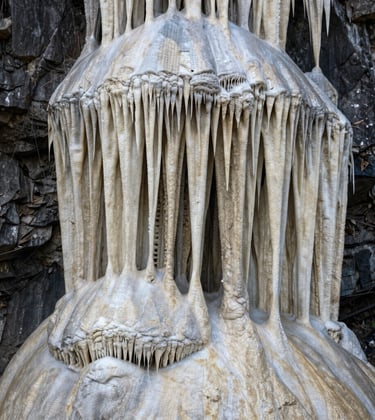 A close-up photograph capturing the intricate, stalactite-like mineral deposits of the Hierve el Agua petrified waterfalls in Oaxaca. The textures are ivory and off-white against a dark charcoal stone background, with soft natural light highlighting the ancient limestone ripples.