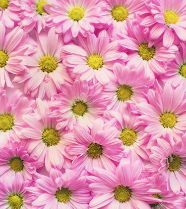 soin énergétique à distance et en ligne