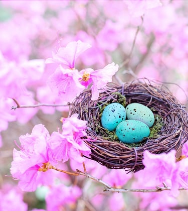 guérison spirituelle de la vie intra-utérine, guérison spirituelle de la naissance