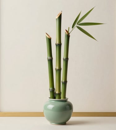A minimalist arrangement of three bamboo stalks in a sleek sage green ceramic vase. Set against a clean soft ivory wall with a slight matte gold trim.