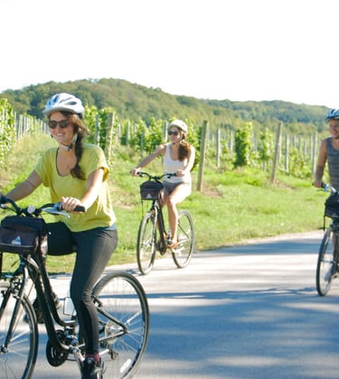 temecula wine country bike rentals