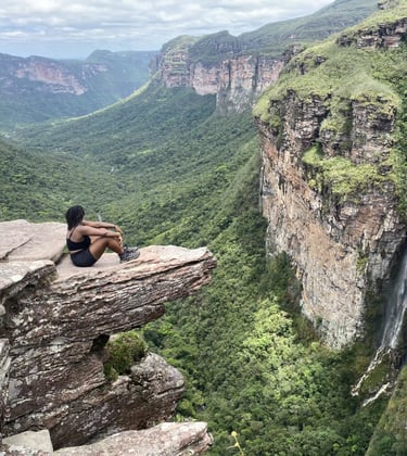 vista na tartaruga